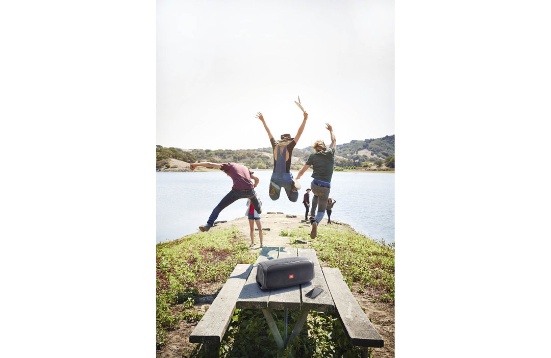 JBL BASS PRO GO Subwoofer All-in-One & Altoparlante Portatile