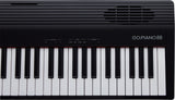 Roland GO:PIANO 88PX Pacchetto Iniziale