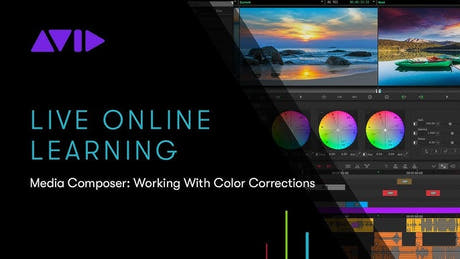Abbonamento Media Composer Ultimate NEW