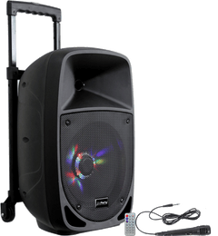 Ibiza Party8LED Altoparlante Festival (300W)