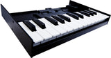 Roland Boutique K-25M 