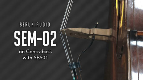 SBS01 Set di accessori per basso