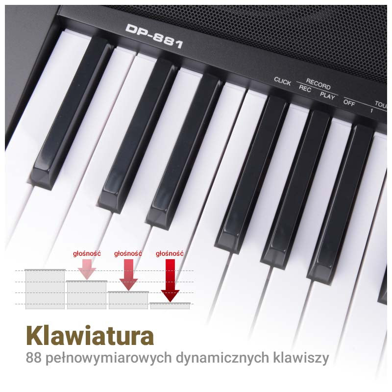 MK DP 881 pianoforte digitale con tasti per l'apprendimento