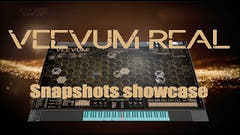 Veevum Reale