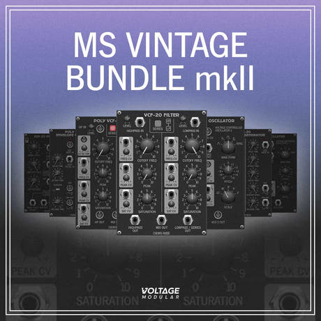 MS Vintage Bundle per VM