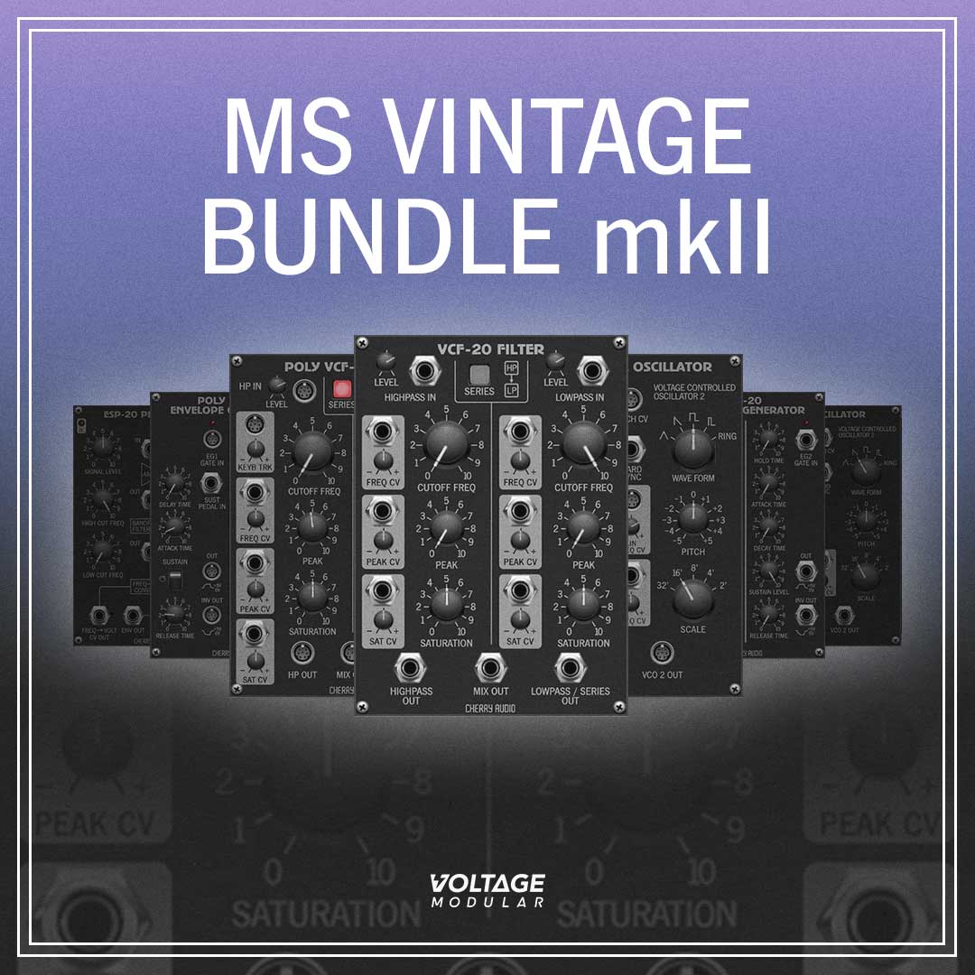 MS Vintage Bundle per VM