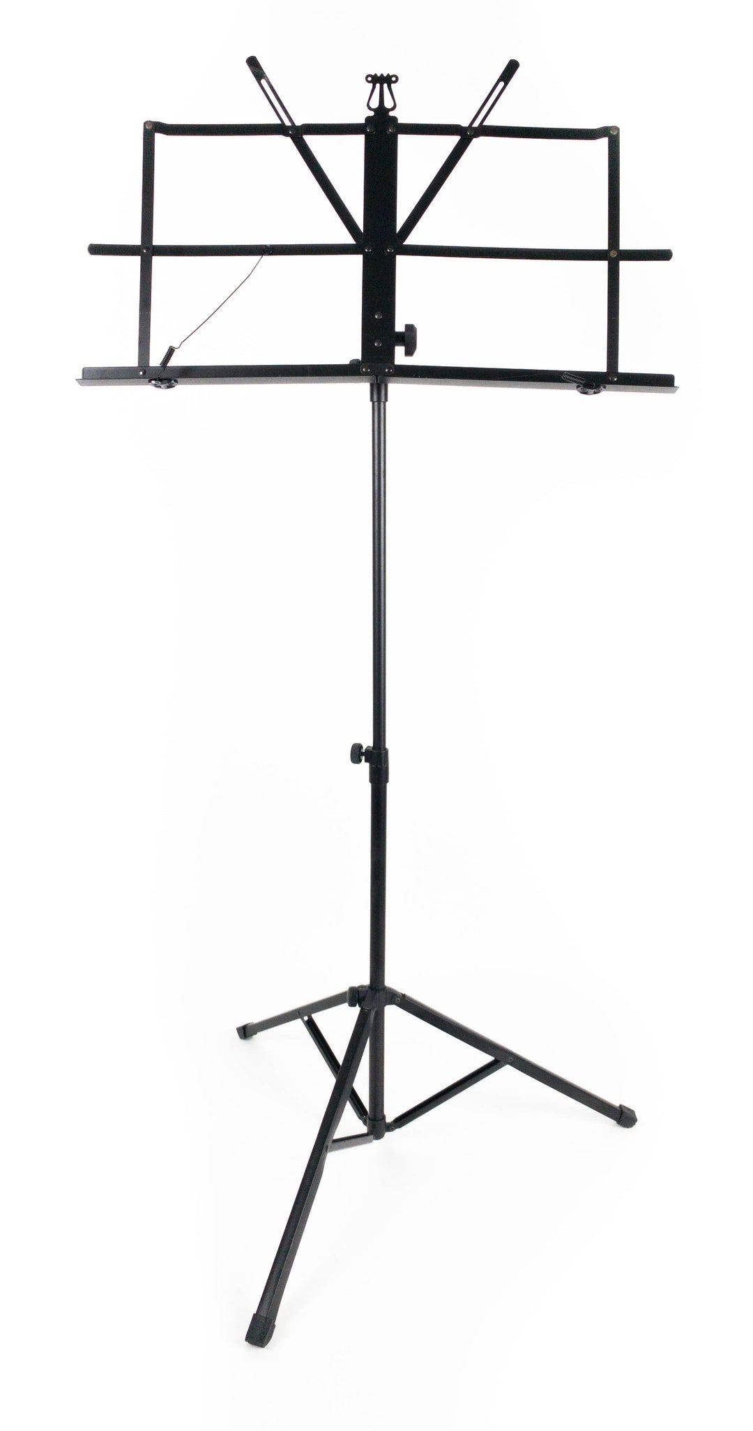Ibiza Leggio (68-145cm)