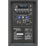 Ibiza PORT12UHF-MKII (Black)