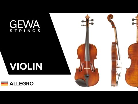 GEWA Violini Allegro - 1/4 (Pronto per suonare, inclusa custodia sagomata, arco in Massaranduba, corde Larsen Aurora, protetto per il trasporto)