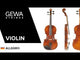GEWA Violin Allegro - 1/4 (Ready to play incl. shaped case, Massaranduba bow, Larsen Aurora strings, transport-secured)