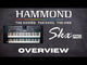 Hammond SKX PRO Organo elettrico