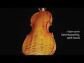 GEWA Violino Germania - 4/4 Model Rom (Set-up)