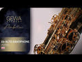 GEWA Ambition AS501 sassofono contralto in Mib, laccato oro