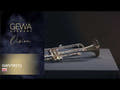 GEWA Vision TR272 trombe in Sib, vernice trasparente