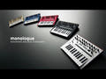 Korg Monologue Synthesizer (Argento)