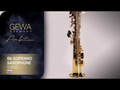 GEWA Ambition SS650 sassofono soprano in Sib, laccato oro