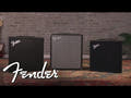 Rumble 40 Amplificatore per basso