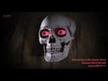 Baule fantasma di Halloween con teschio, animato, 150 cm