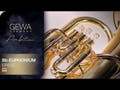 GEWA Ambition EP655 eufoni in Sib, laccato trasparente