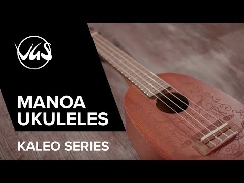 GEWA Concert Ukulele Manoa Kaleo - E-A Concert (Sapelli matt)
