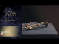 GEWA Vision TR172 Bb-trombe, verniciatura dorata