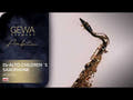 GEWA Ambition AS655 sax contralto in Mib per bambini, laccato oro