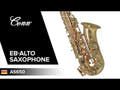 Conn Sassofono contralto in Eb AS650 - AS650