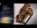 GEWA Ambition AS650 sassofono contralto in Mib, finitura dorata