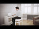 Roland FP-60X Pianoforte Elettrico (Nero)