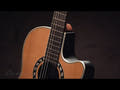 Ovation E-Acoustic chitarra classica Classic Nylon Legend Mid Cutaway - Natural (1773AX-4-G)