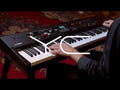 Yamaha YC61 Digital Stage Tastiere (Waterfall)