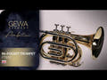 GEWA Ambition PT650 tromba tascabile in Sib, verniciatura trasparente