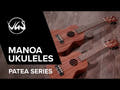 GEWA Ukulele Concert Manoa P-CO - Concert (Sapelli opaco)