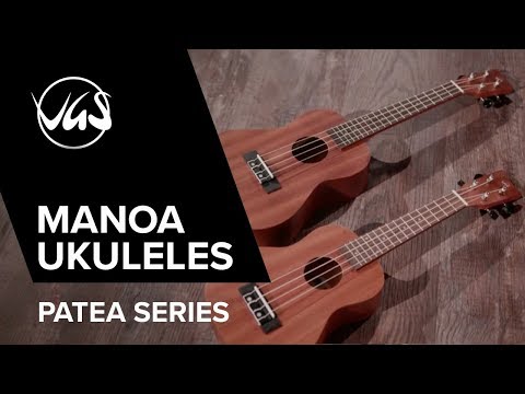 GEWA Ukulele Concert Manoa P-CO - Concert (Sapelli opaco)
