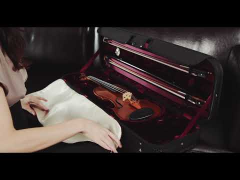 GEWA custodia per violino sagomata Liuteria Maestro - 3/4