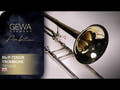 GEWA Ambition TB503B Bb/F trombone basso-tenore, vernice trasparente