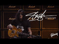 Epiphone Slash Les Paul Standard Chitarra elettrica (November Burst)