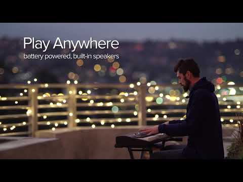 Roland GO:PIANO 88PX Pacchetto Iniziale