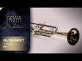 GEWA Ambition TR501 trombe in Sib, finitura trasparente