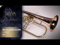 GEWA Ambition FH501 flicorno in Sib, laccato trasparente