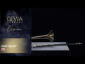 GEWA Vision TB236F trombone tenore in Sib/Fa, campana in ottone giallo