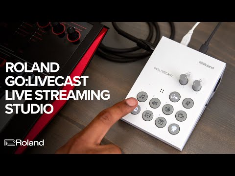 Roland GO:LIVECAST Schede Audio