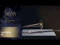 GEWA Vision TB236 trombone tenore in Sib, campana in ottone giallo