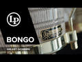 Latin Percezione Bongo Galaxy Giovanni - hardware dorato (LP793X)