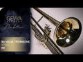 GEWA Ambition VT501 trombone basso in Sib, vernice trasparente