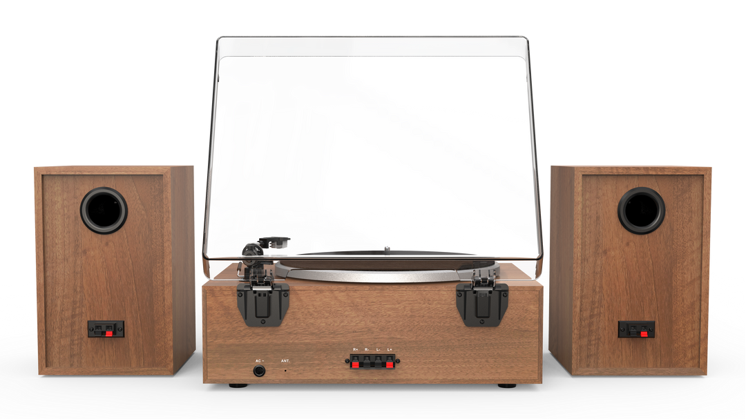 Sistema giradischi Aiwa LPS-1WD