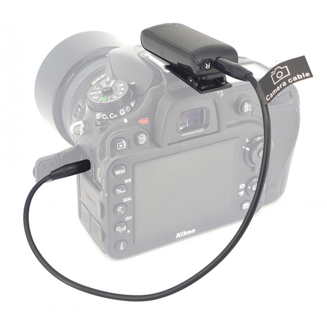 Renton Microfono wireless per video
