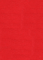 Red Runner (1 x 10 meters)