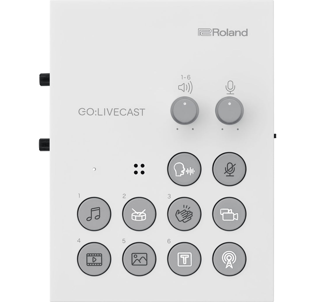 Roland GO:LIVECAST Schede Audio