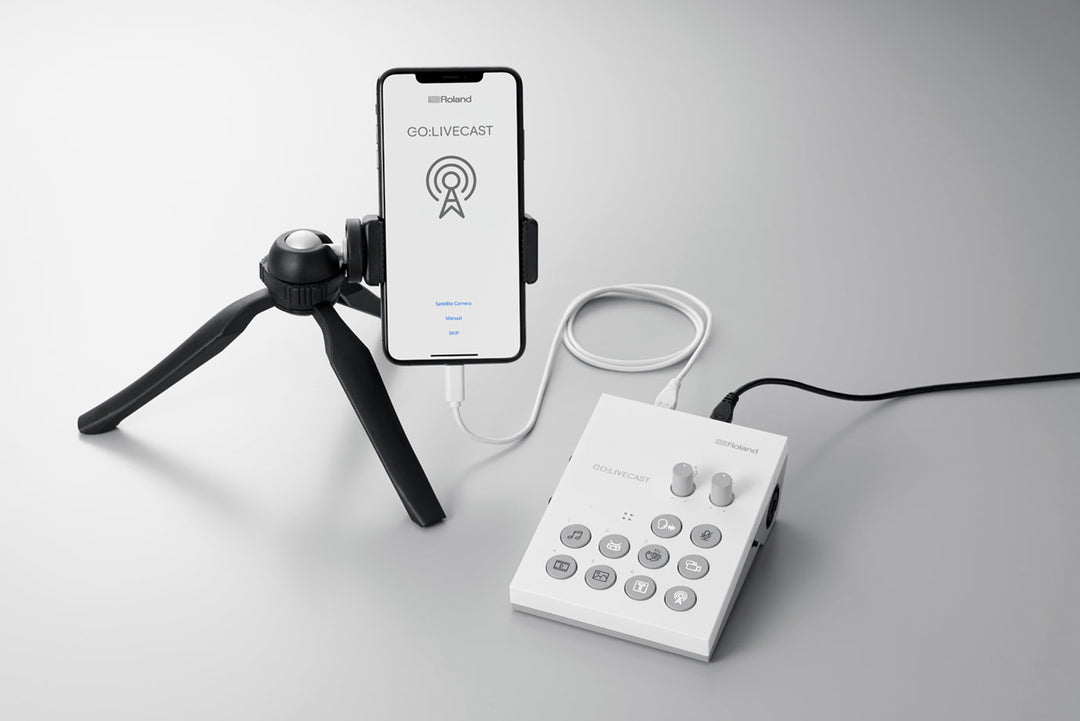 Roland GO:LIVECAST Schede Audio